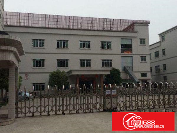 清溪清厦独院一楼1200平豪华装修厂房出租空地大