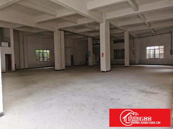 全新标准厂房一楼（6米高）