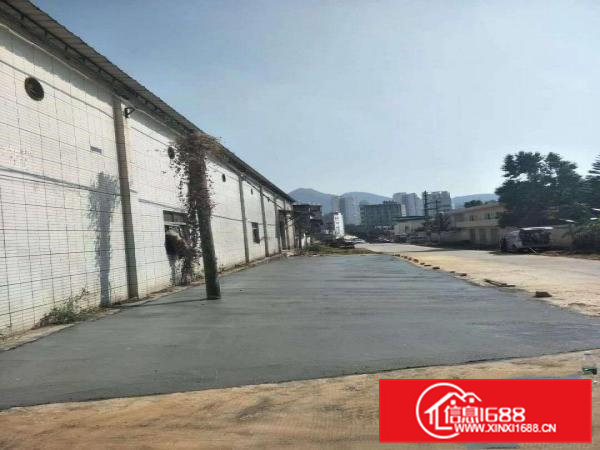 横沥镇高7米单一层钢构厂房1600平方出租