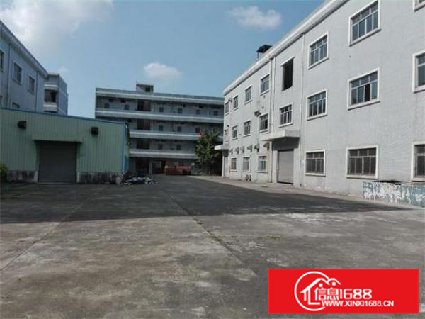 沥林原房东标准厂房2000平米出租（可分租）