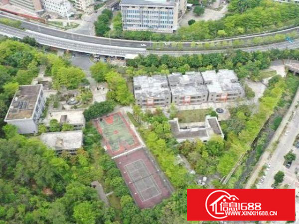 横岗占地3万建筑1万平独院总部基地，养老院，月子中心网红基地