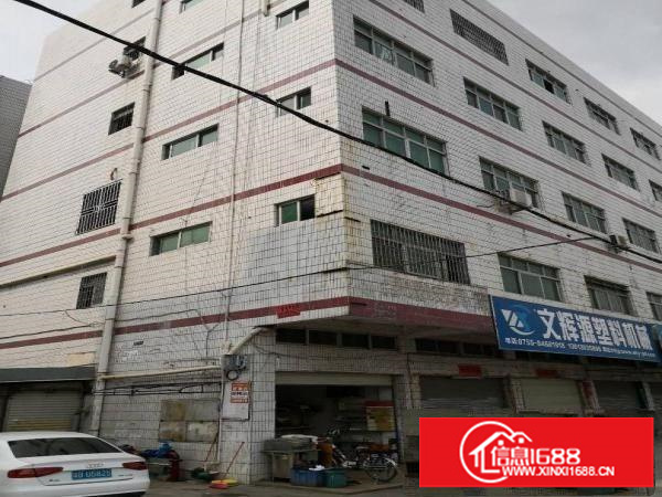 平湖广场附近独栋3000平方包租