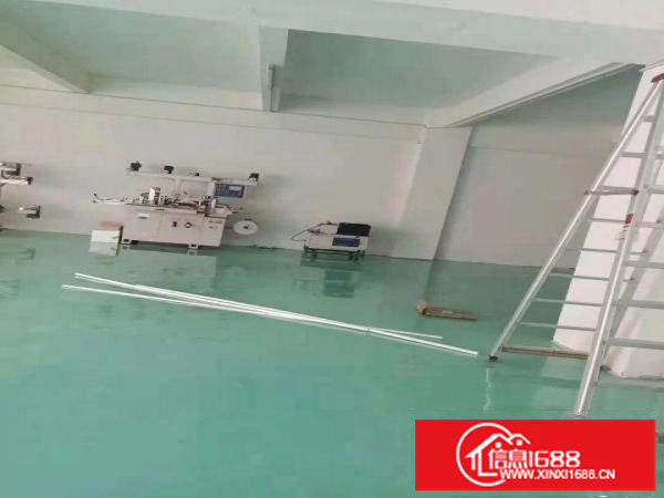 出租布吉布吉一村工业区厂房一楼200平方带水电办公室