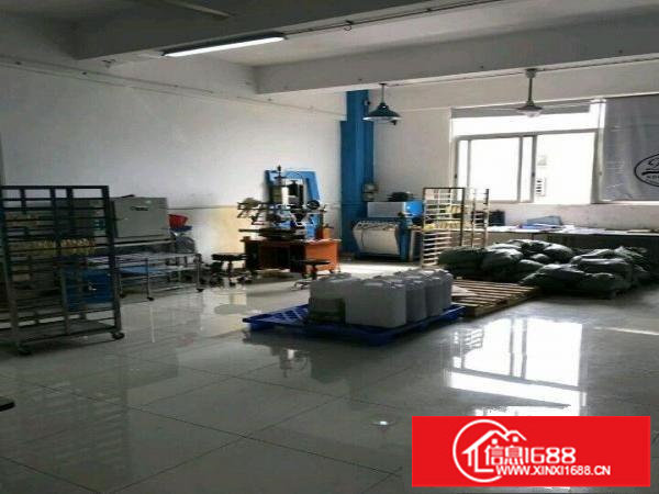 布吉吉厦带装修15O0平厂房出租