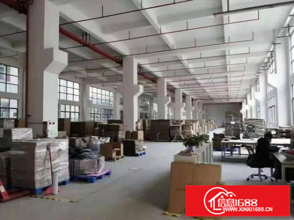 常平新出原房东标准一楼1800平方