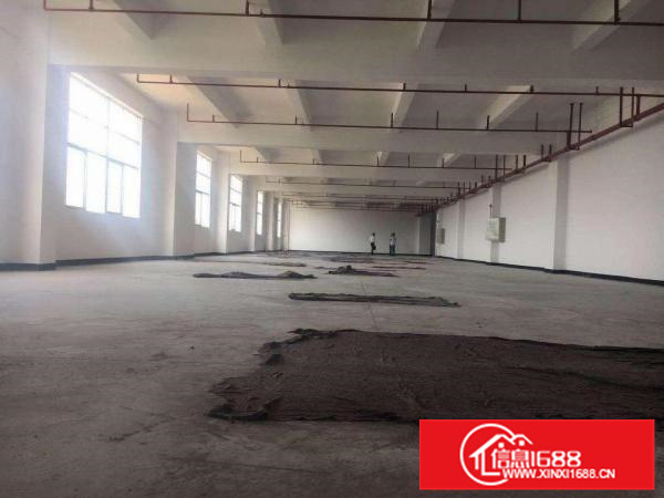 证件齐全容里厂房650方出租带有消防喷淋
