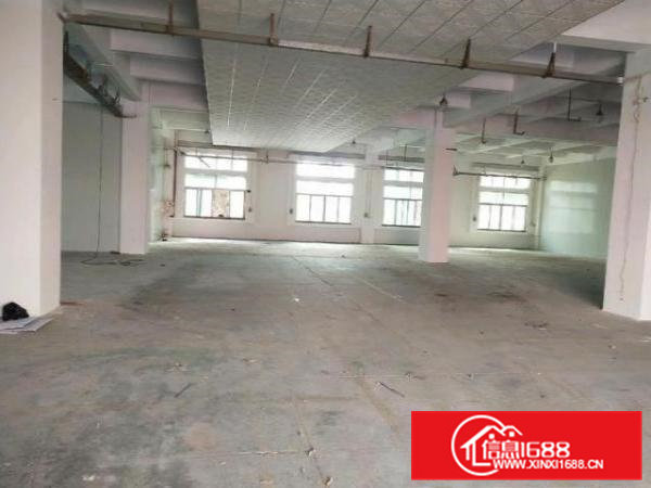 大岭山工业园带装修厂房1100平方