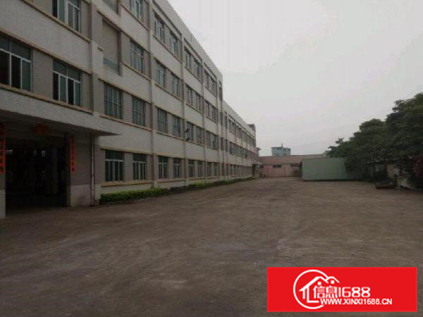 石排大基工业区分租一楼(2000)平米