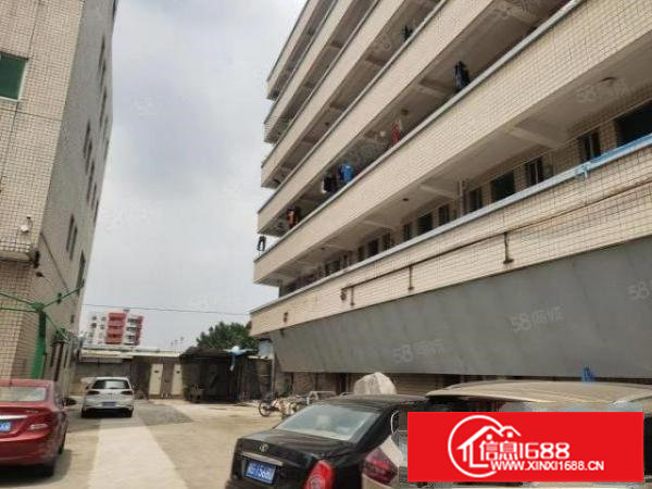 龙岗新生无尘车间厂房出租场地为原房东，带红本，价格仅18元