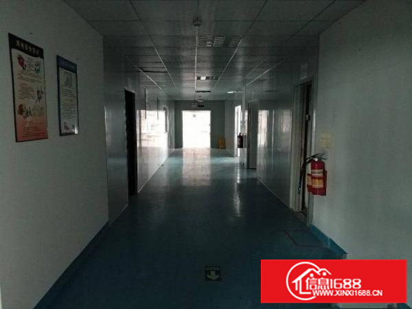 龙岗龙东精装修厂房1800平米出租
