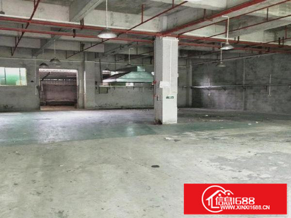 新出工业园一楼500平方