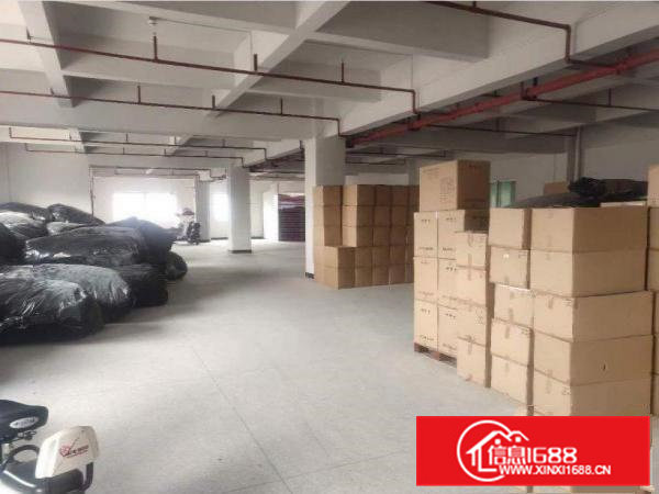 村头新出一700平厂房，原房东无公摊，租金便宜?