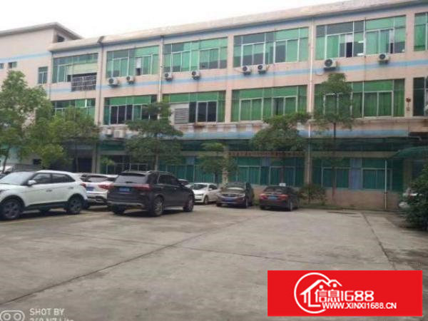 松岗楼岗社区出租厂房一楼800平跟二楼350平