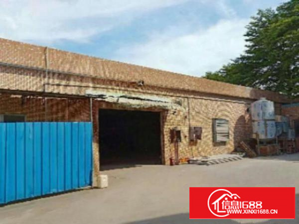 万江单一层独院1600平方招租，配套齐全、交通方便