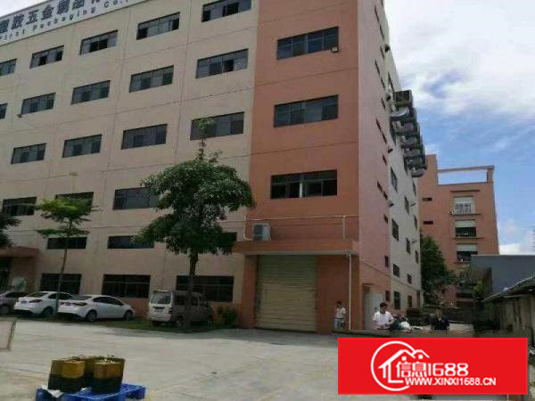 清溪土桥新出标准二楼400平方，现成办公室水电装修