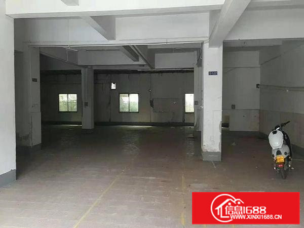 常平桥沥原房东实际面积，一楼500平无基本电费现成办公室2间