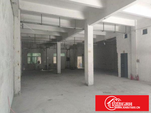 桥沥村新出标准厂房一楼800平，精装修办公室，可办环评