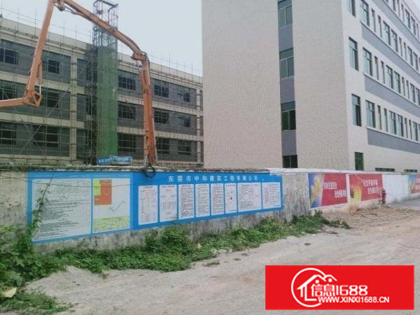 桥头全新独门独院重工业厂房出租