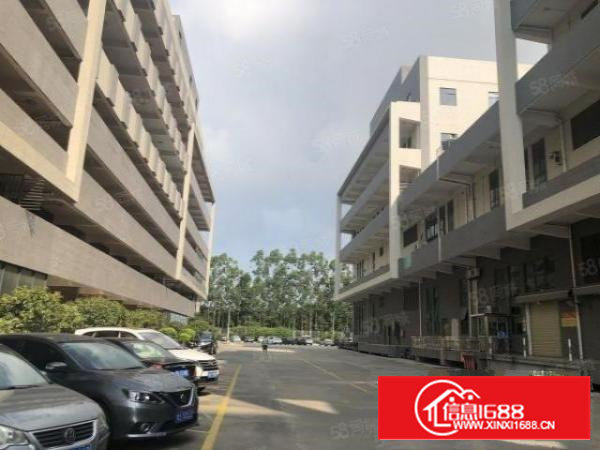 东莞万江区红本带卸货台路面超好厂房招商中，交通便利!