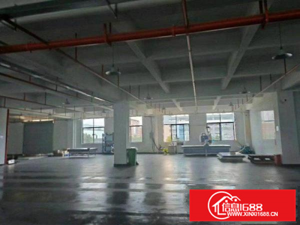 新出惠阳白石工业园里一楼950平米带装修厂房