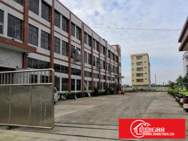 大宁原房东全新工业大厦招租，800平方以上起租