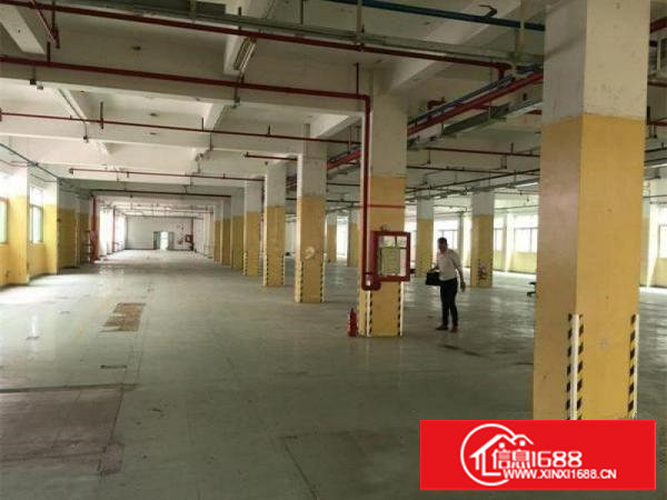 塘厦独门独院楼上2800平厂房出租，原房东无公摊