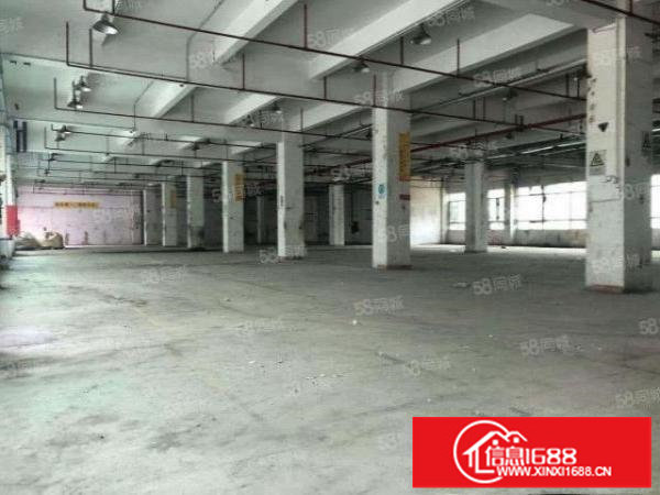 南山新开楼盘红本花园式厂房~中央空调~可整租~可分租