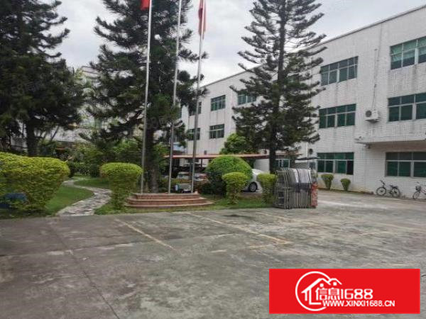 清溪三中原房东独院厂房出租13层3780平方可分租