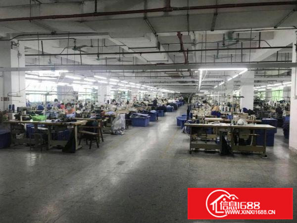 高埗工业园厂房楼上1000平米带装修厂房出租