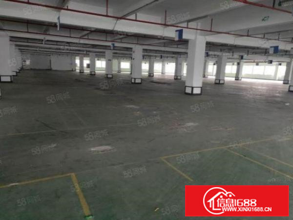 拎包入住带喷淋消防横沥镇新出标准厂房1600平方出租