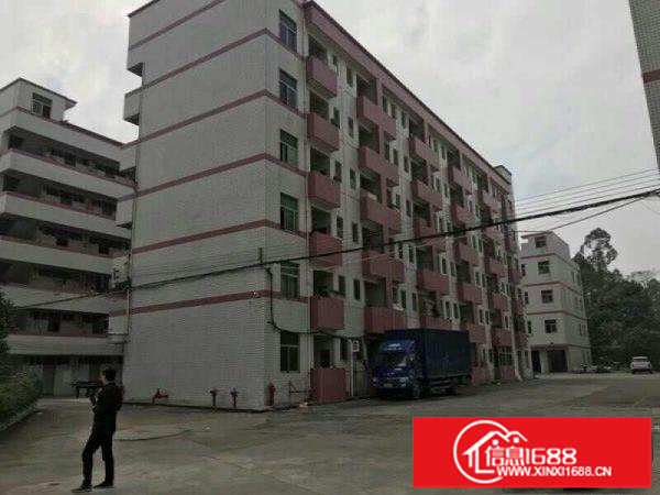 布吉可园小学旁厂房出租