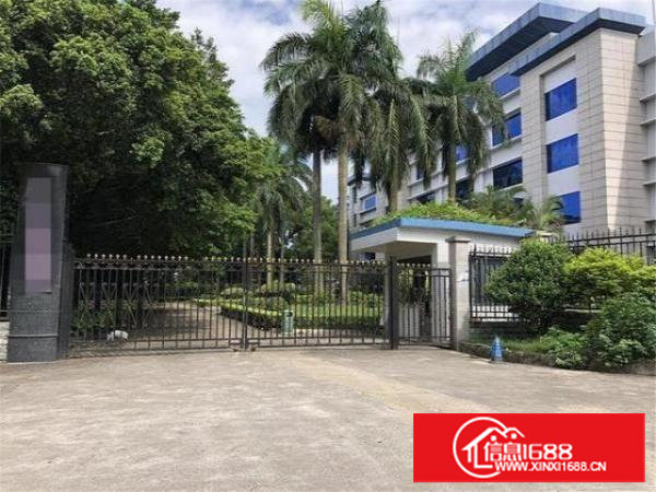 长安高6.5米标准一楼1000平厂房，人气旺易招工。