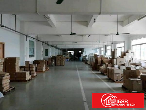 顺德区均安畅兴工业园精装厂房出租