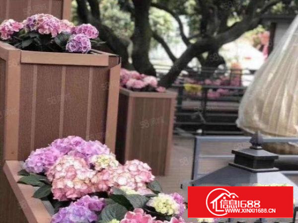 教育用地的学校场地出租建筑1万平米空地3万平米合同15年