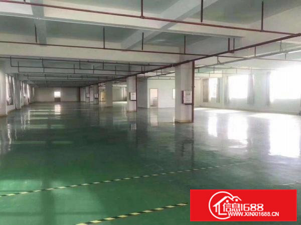 凤岗镇金凤凰村原房东楼上1200平，带豪华装修。