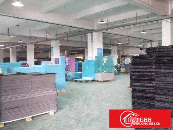 清溪土桥原房东1楼厂房出租带装修现成办公室2490平方