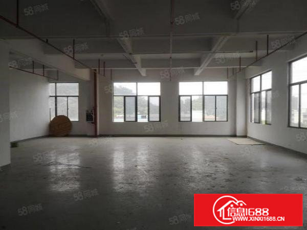 能做电池谢坑村主路边新出原房东楼上1000平带装修