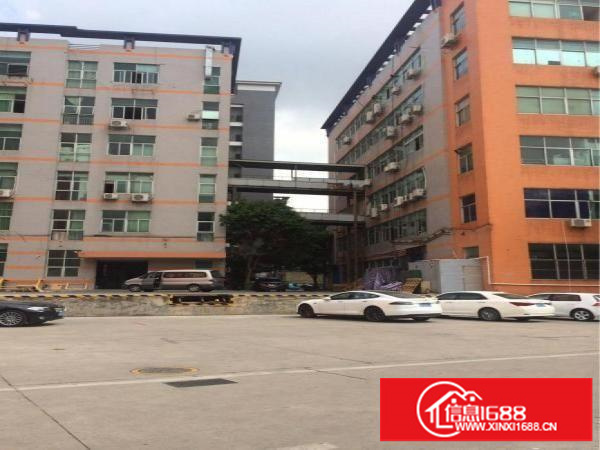 坂田300平方500平方