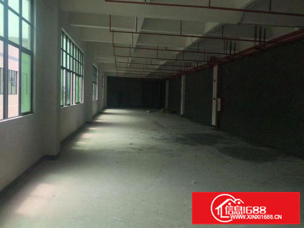 凤岗麻埔坳新出楼上全新厂房800平