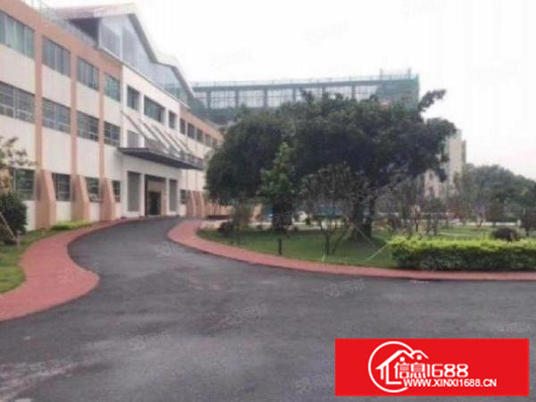 龙岗坂田街道独院7500平原房东红本厂房出租可办环评交通便利