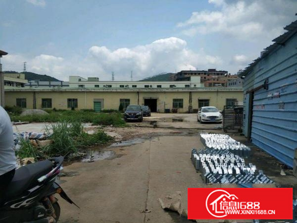 新圩镇原房东靠山边独院钢构3500平方厂房出租