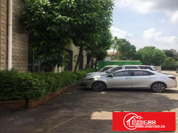 常平新出单一层钢构小厂房600平方招租，可做污染行业