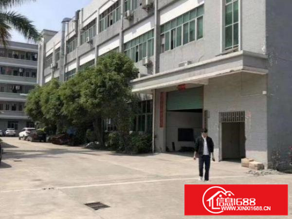 原房东一楼1000平，实际面积出租，层高6米，带牛角！