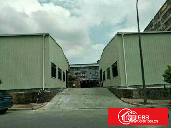 塘厦横塘新出单一层钢构厂房800平高9米