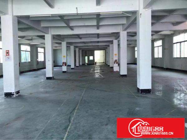 坂田万科附近新出8800平米独栋厂房出租