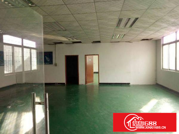 出租惠阳新墟一楼5米高标准厂房500平方