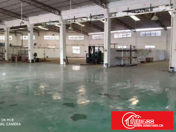 高埗镇新出独门独院单一层5500平方出租环城路外