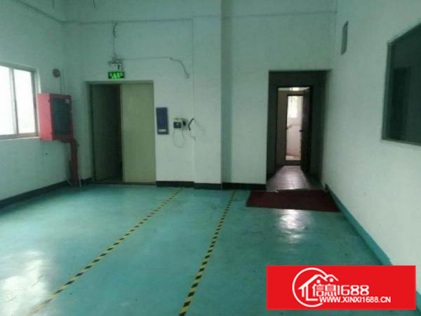 田头社区新出原房东独院厂房804平招租空地大