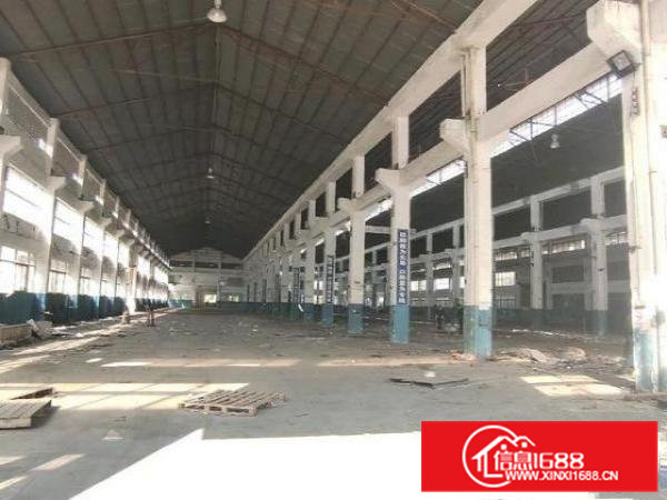 大岭山独院2万平可分租滴水12米空地5000平可办环评