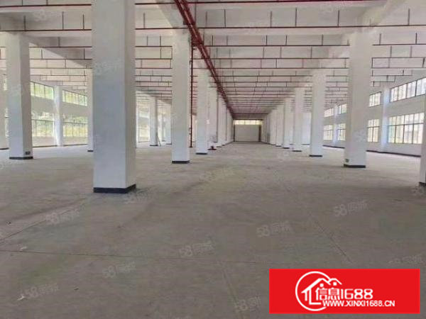 清凤塘三镇交界处全新红本标准厂房800平起分租